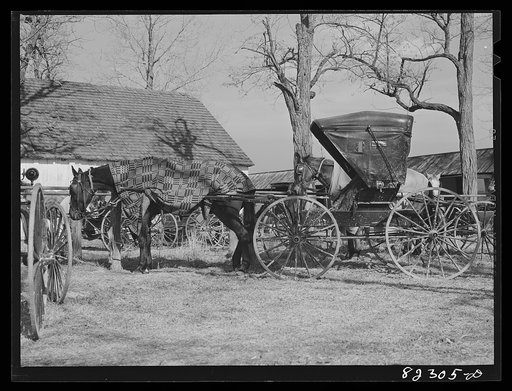 Hinkletown, Pennsylvania (vicinity). Mennonite wagon waiting outside church