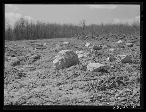Honey Brook, Pennsylvania (vicinity). Rocks removed from field by Morris Zook, Jr., FSA (Farm Security Administration) tenant purchase client. Bulldozer was hired at twenty-five dollars a day to lift out rocks