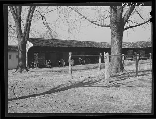 Hinkletown, Penna (vicinity). Wagon yard of Mennonite church