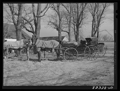 Hinkletown, Pennsylvania (vicinity). Mennonite church yard. Orthodox Mennonites use only buggies