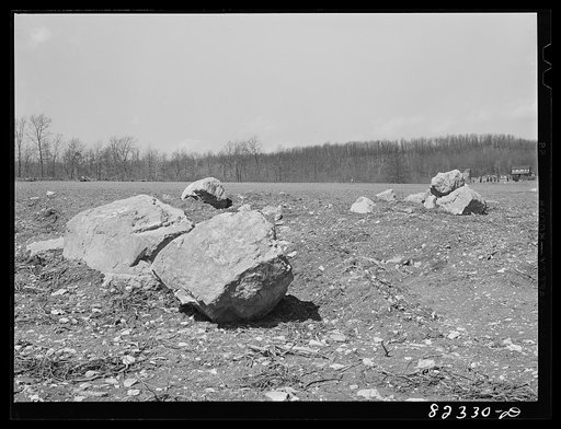 Honey Brook, Pennsylvania (vicinity). Rocks removed from field by Morris Zook, Jr., FSA (Farm Security Administration) tenant purchase client. These rocks now lifted from their beds will be blown to pieces with dynamite
