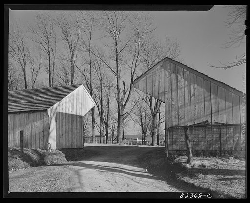 Blue Ball, Pennsylvania (vicinity). Gateway into Mennonite churchyard. Sheds on each side for carriages