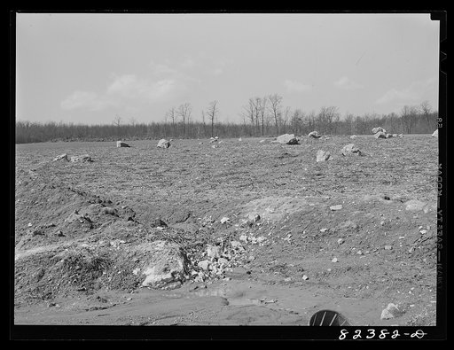 Honey Brook, Pennsylvania (vicinity). Rocks in the process of being removed from hand by Morris Zook Jr., FSA (Farm Security Administration) tenant purchase client who hired bulldozer at twenty-five dollars a day to raise the rocks. Now they will be dynamited and removed in pieces