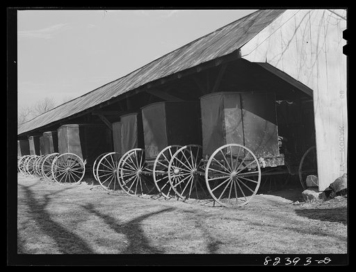 Hinkletown, Pennsylvania (vicinity). Carriages standing under shed outside Mennonite church