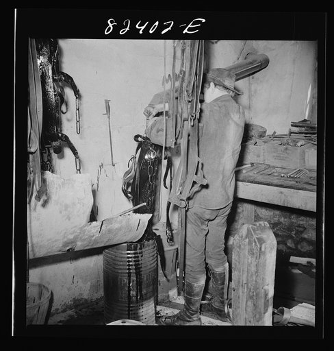 Honey Brook, Pennsylvania (vicinity). Amish boy dipping harness in readiness for spring ploughing. Zook farm