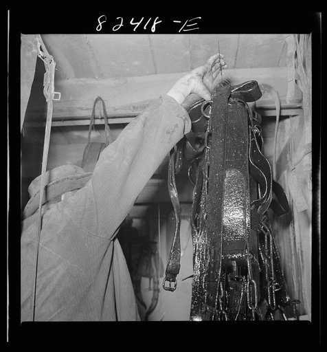 Untitled photo, possibly related to: Honey Brook, Pennsylvania (vicinity). Amish boy on Zook farm hanging up harness after dipping it in oil in readiness for spring planting