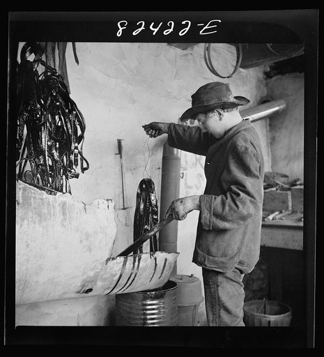 Honey Brook, Pennsylvania (vicinity). Amish farmland dipping harness in oil on the Zook farm