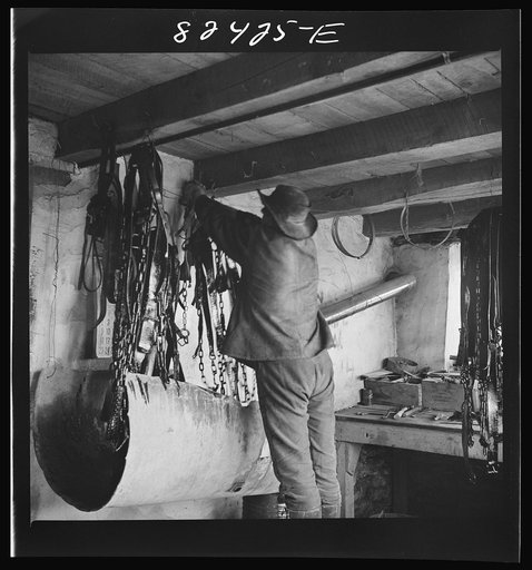 Honey Brook, Pennsylvania (vicinity). Amish boy on Zook farm hanging up harness after dipping it in oil in readiness for spring planting