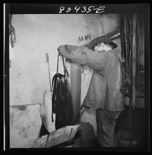 Untitled photo, possibly related to: Honey Brook, Pennsylvania (vicinity). Amish farmland dipping harness in oil on the Zook farm