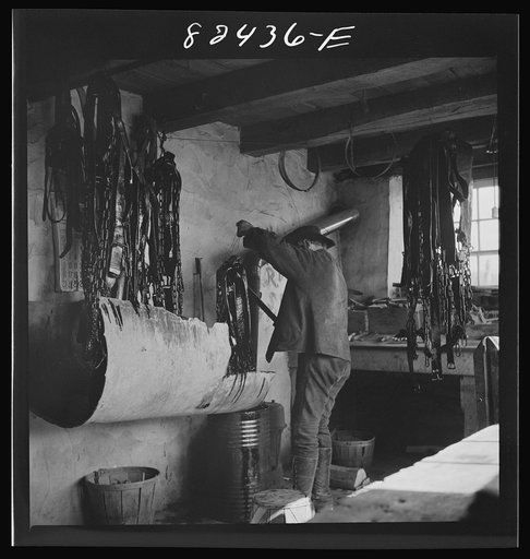 Honey Brook, Pennsylvania (vicinity). Amish farmhand dipping harness in oil on the Zook farm