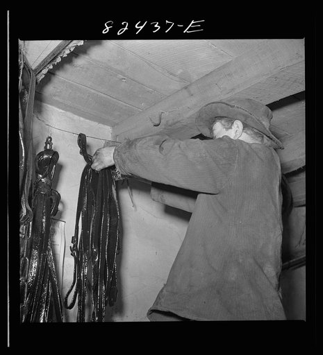 Untitled photo, possibly related to: Honey Brook, Pennsylvania (vicinity). Amish boy on Zook farm hanging up harness after dipping it in oil in readiness for spring planting