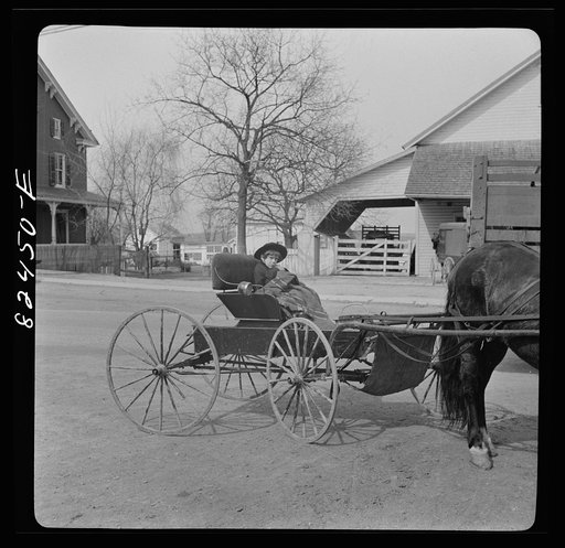 Untitled photo, possibly related to: Lancaster, Pennsylvania. Mennonite boy