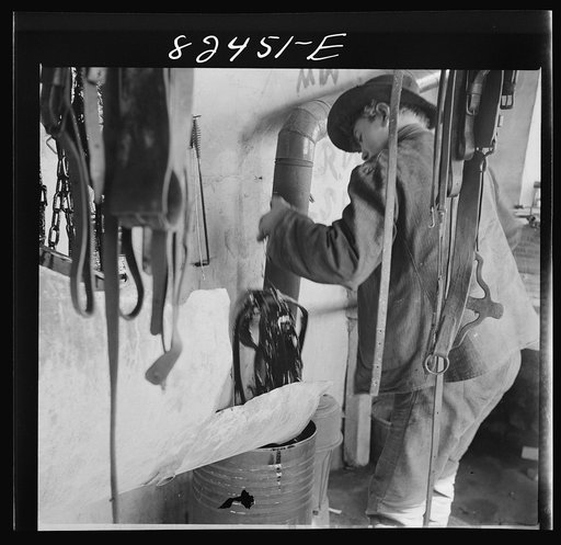 Untitled photo, possibly related to: Honey Brook, Pennsylvania (vicinity). Amish farmland dipping harness in oil on the Zook farm