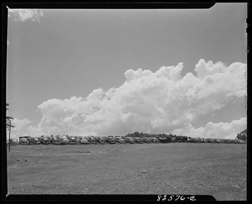 Vienna, Virginia (vicinity). "Frozen" cars stored on a farm