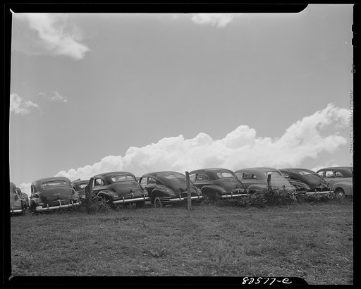 Vienna, Virginia (vicinity). "Frozen" cars stored on a farm