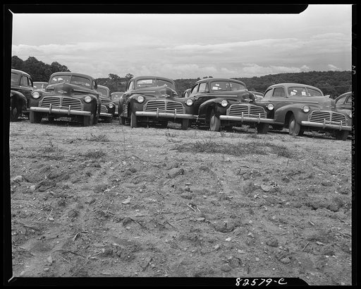 Untitled photo, possibly related to: Vienna, Virginia (vicinity). "Frozen" cars stored on a farm