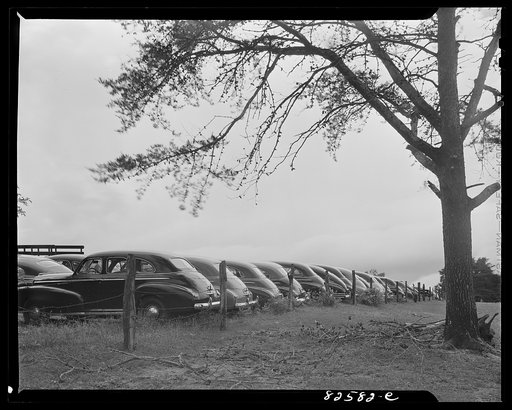Vienna, Virginia (vicinity). "Frozen" cars stored on a farm