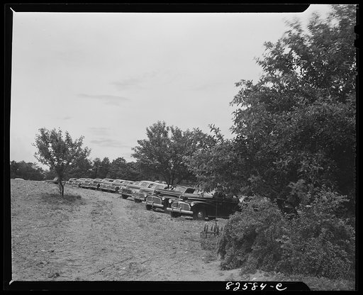 Untitled photo, possibly related to: Vienna, Virginia (vicinity). "Frozen" cars stored on a farm