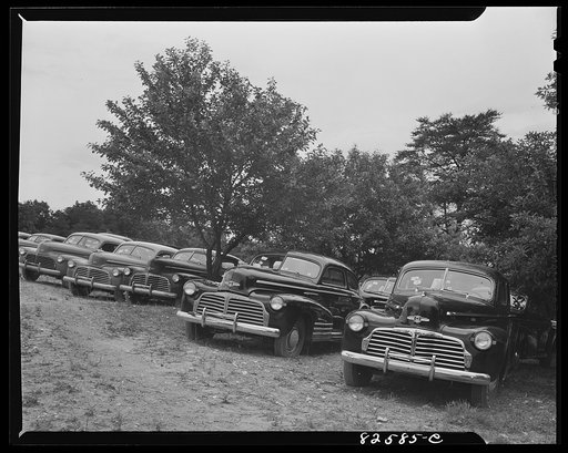 Untitled photo, possibly related to: Vienna, Virginia (vicinity). "Frozen" cars stored on a farm