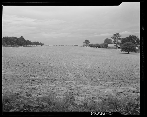 Untitled photo, possibly related to: Vienna, Virginia. (vicinity). "Frozen" cars stored on a farm