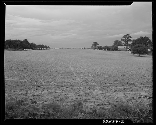Untitled photo, possibly related to: Vienna, Virginia. (vicinity). "Frozen" cars stored on a farm