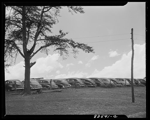 Untitled photo, possibly related to: Vienna, Virginia. (vicinity). "Frozen" cars stored on a farm