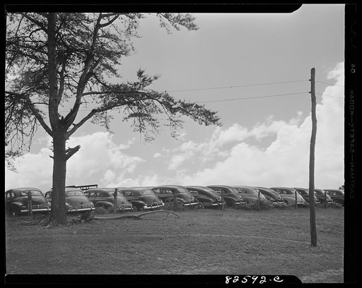Vienna, Virginia. (vicinity). "Frozen" cars stored on a farm