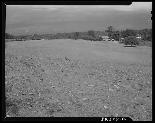 Untitled photo, possibly related to: Vienna, Virginia. (vicinity). "Frozen" cars stored on a farm