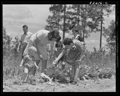 Escambia Farms, Florida. Elena, Kitty, John and George McLelland look over their Victory garden on a Sunday