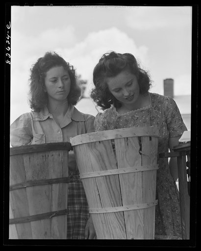 Escambia Farms, Florida. Doris Clima and Julian Dowdy weighing in their Victory bean crop at the Escambia Farms cooperative
