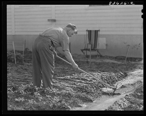 Childersburg, Alabama. Cousa Court defense housing project. Defense worker irrigating his Victory garden behind his house