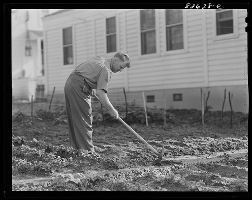 Untitled photo, possibly related to: Childersburg, Alabama. Cousa Court defense housing project. Defense worker irrigating his Victory garden behind his house