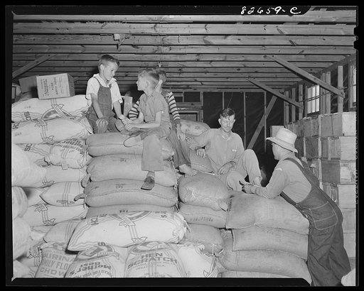 Escambia Farms, Florida. Chicken mash in the cooperative store room