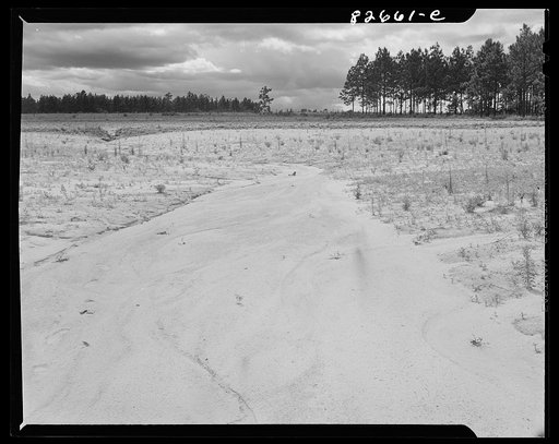 Escambia Farms, Florida. Land bordering on Escambia Farms FSA (Farm Security Administration) project showing results of poor terracing and grading. The sand wash has carried away all top soil and buried what little humus there is left