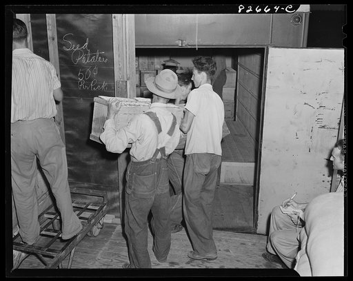 Untitled photo, possibly related to: Escambia Farms, Florida. Truck loading eggs from cooperative association for market in Miami