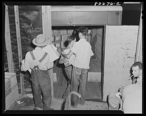 Escambia Farms, Florida. Truck loading eggs from cooperative association for market in Miami