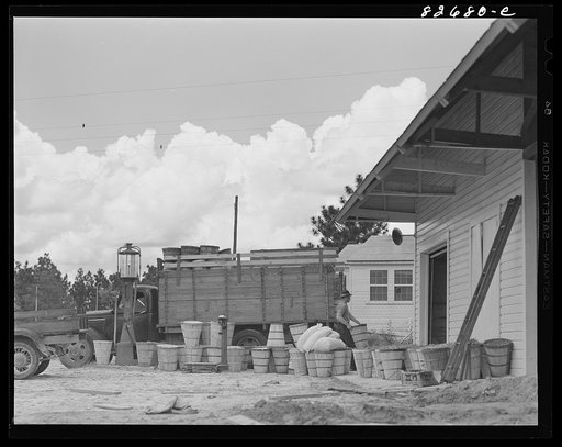 Escambia Farms, Florida. Loading beans on a truck for delivery to market