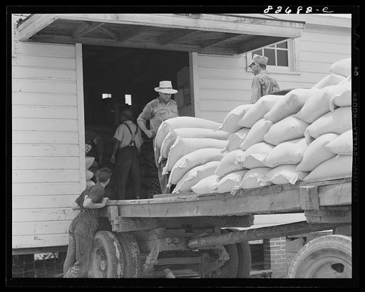 Storing chicken mash in cooperative warehouse