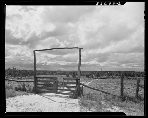 Escambia Farms, Florida. On the western border of Escambia Farms, where the backwoods begin in a jungle of brush and second-growth pine