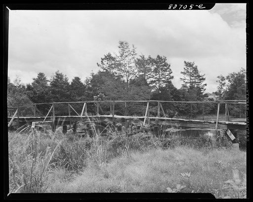 Falco, Florida [i.e. Alabama]. All that is left of the railroad line running to the Falco lumber mill, as it crosses the old log pond (mill closed in 1923)