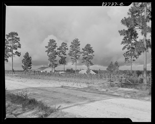 Escambia Farms, Florida. The farmstead of George McLelland, FSA (Farm Security Administration) client