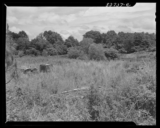 Falco, Florida [i.e. Alabama]. Only the charred foundations remain of the Falco lumber company mill, fifteen miles from Escambia Farms. Once the largest lumber company in northern Florida [i.e., Alabama near Florida border], it passsed out of existence in 1923 because of the depleted timber due to u