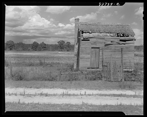Escambia Farms, Florida (vicinity). Behind this skeleton of a sharecropper's house bordering on Escambia Farms are the reasons for its abandonment: poor soil, badly eroded