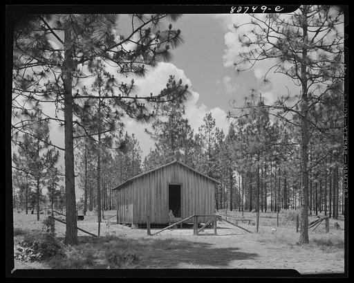 Escambia Farms, Florida. A farmstead in the bordering backwoods