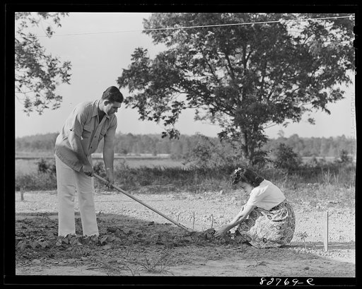 Childersburg, Alabama. Cousa Court defense housing project. After work Mr. and Mrs. Smith find time to work in their Victory garden behind their house
