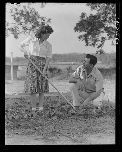 Childersburg, Alabama. Cousa Court defense housing project. After work, Mr. and Mrs. Smith find time to work in their Victory garden behind their house
