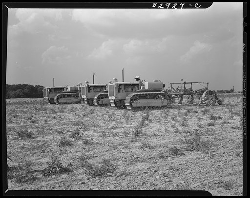Bridgeton, New Jersey. Seabrook Farm. All cultivating on this farm is done with tractors