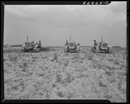 Untitled photo, possibly related to: Bridgeton, New Jersey. Seabrook Farm. All cultivating on this farm is done with tractors
