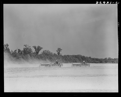 Bridgeton, New Jersey. Seabrook Farm. Spreading chemical fertilizer