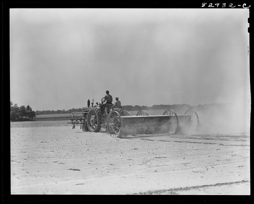 Untitled photo, possibly related to: Bridgeton, New Jersey. Seabrook Farm. Spreading chemical fertilizer